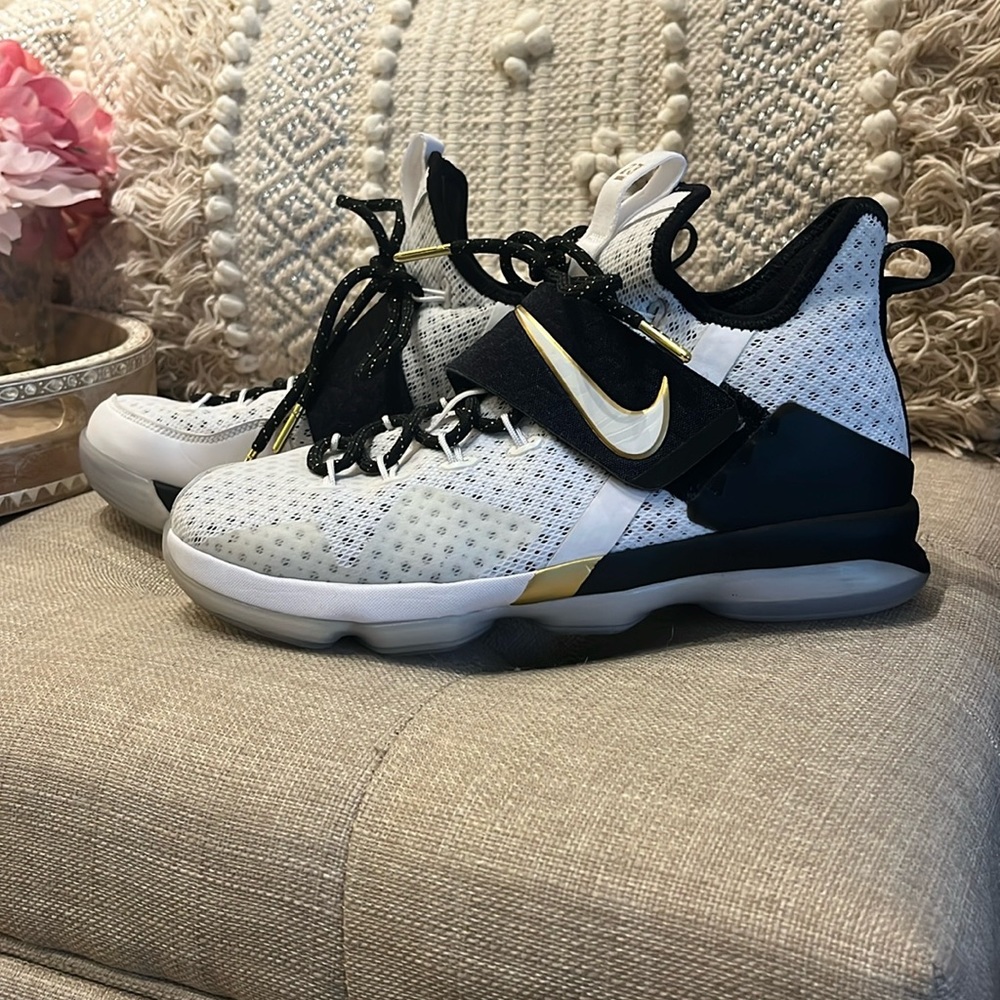 NIKE LEBRON James 14 XIV Black History Month BHM Shoes